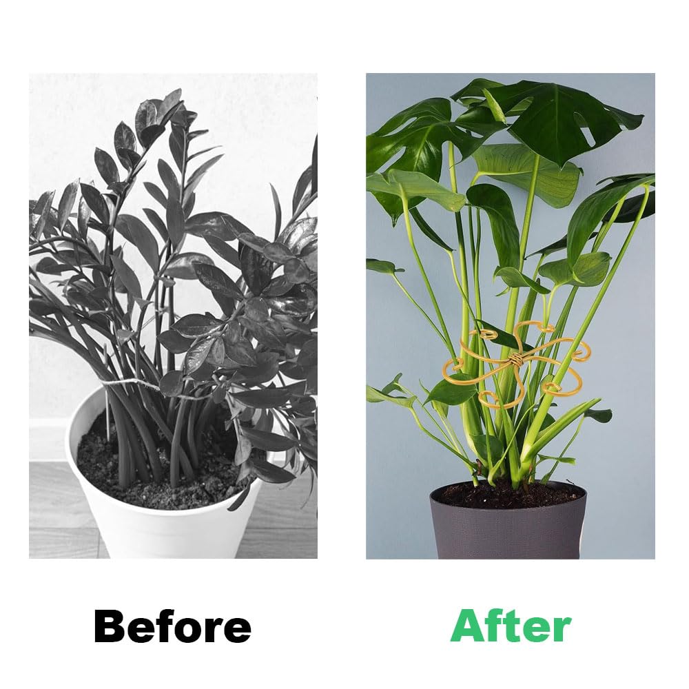 Ensemble de support de tige de plante grimpante, treillis en métal réutilisable pour plantes grimpantes, piquets de support pour plantes d'intérieur (6, cœur doré)