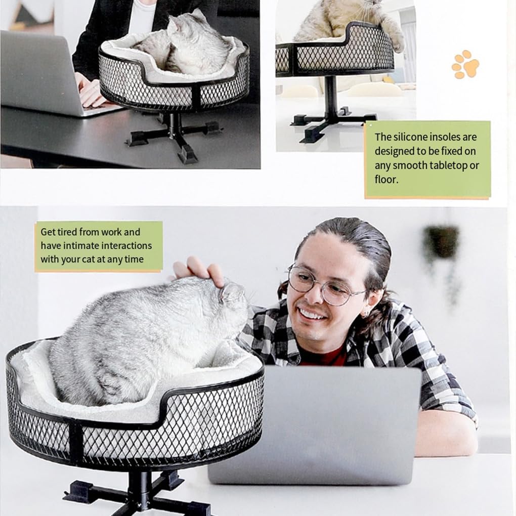 Aumenta la productividad de tu Gato Mientras disfrutas de