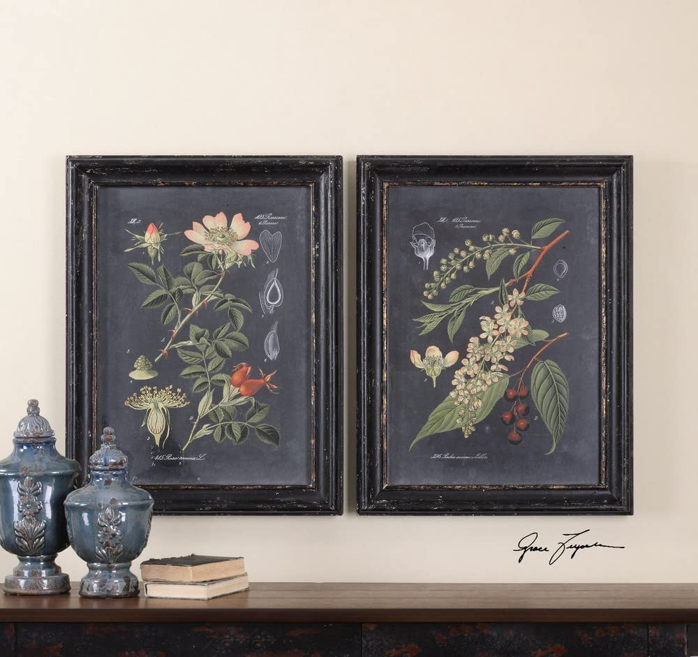 Amazon.com: Uttermost 56053 Midnight Botanicals Wall Art