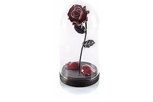 Forging Art Bcn Hand Forged Enchanted Rose in Beauty and the Beast Glass Dome