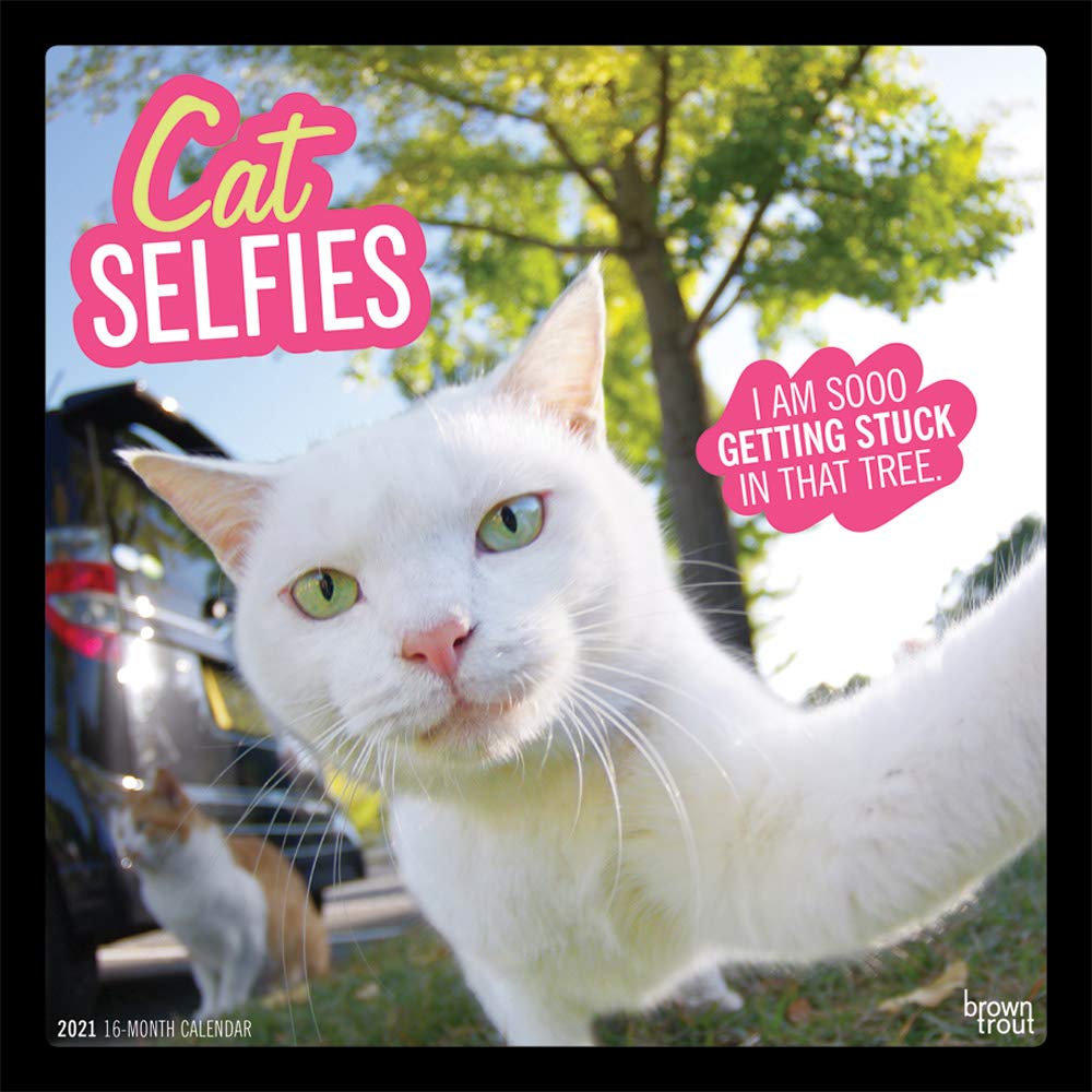 Cat Selfies 2021 12 x 12 Inch Monthly Square Wall Calendar, Pet Humor Kitten
