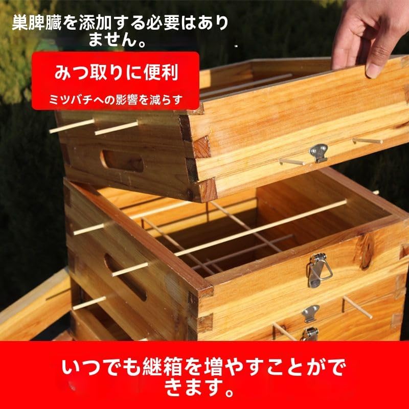 蜜蜂巣箱 ミツバチ巣箱 重箱式 養蜂箱【ワックスを煮る 巣枠不要 自然造蜜 防水性と防食性 杉材】 (5層*単層観察窓) 【入る】