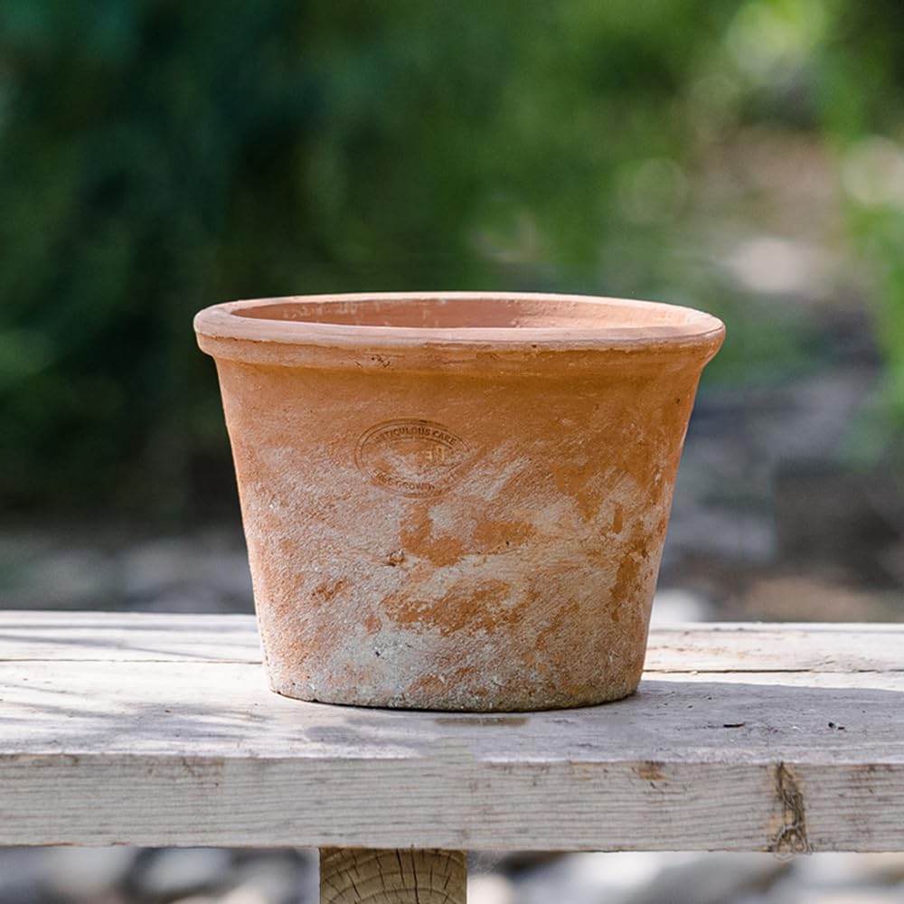 Paquete de 2/3 maceteros de Terracota, macetas de Arcilla Transpirable, macetas de Terracota de Arcilla roja con Drenaje, Maceta de Terracota para Interiores y Exteriores para Plantar Plantas