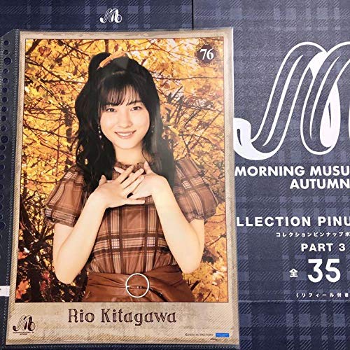 北川莉央 ピンポスセット 111枚 北川莉央 ピンポスセット 111枚