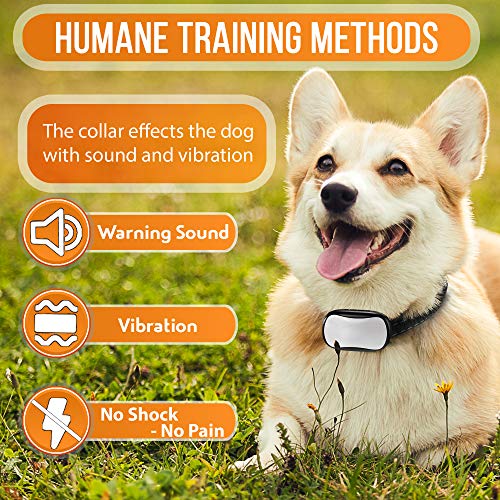 stop woofer bark collar