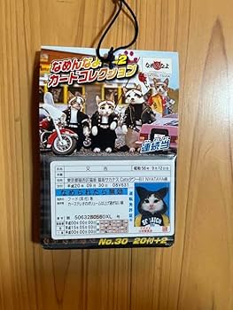 Amazon.co.jp: なめ猫カード なめんなよ なめ猫免許証 : おもちゃ