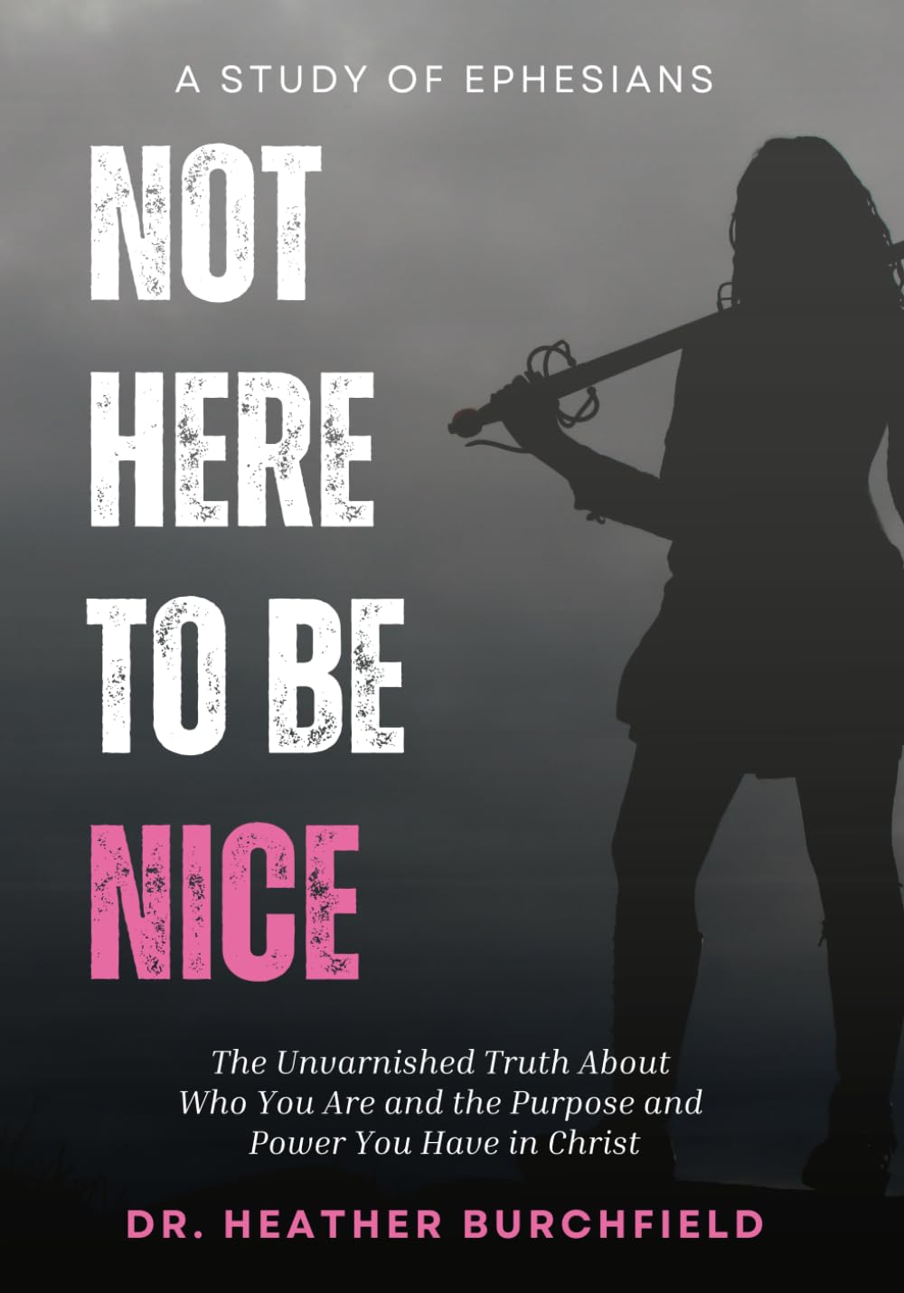 Not Here To Be Nice: The Unvarnished Truth About Who You Are and the Purpose and Power You Have in Christ