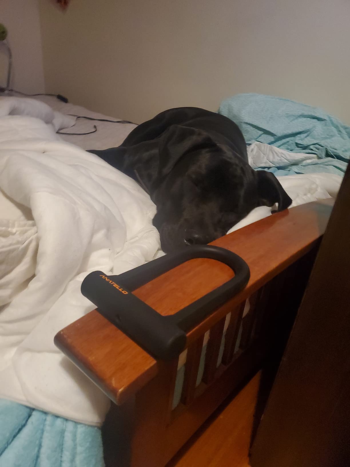 ANATELLO Bike ULock with Cable Antitheft Heavy Duty Bicycle U Lock