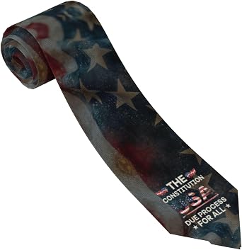 Ties for Men The Constitution USA Due Process for All Great Weddings Dances Dads and Groomsmen Modern Business Gift