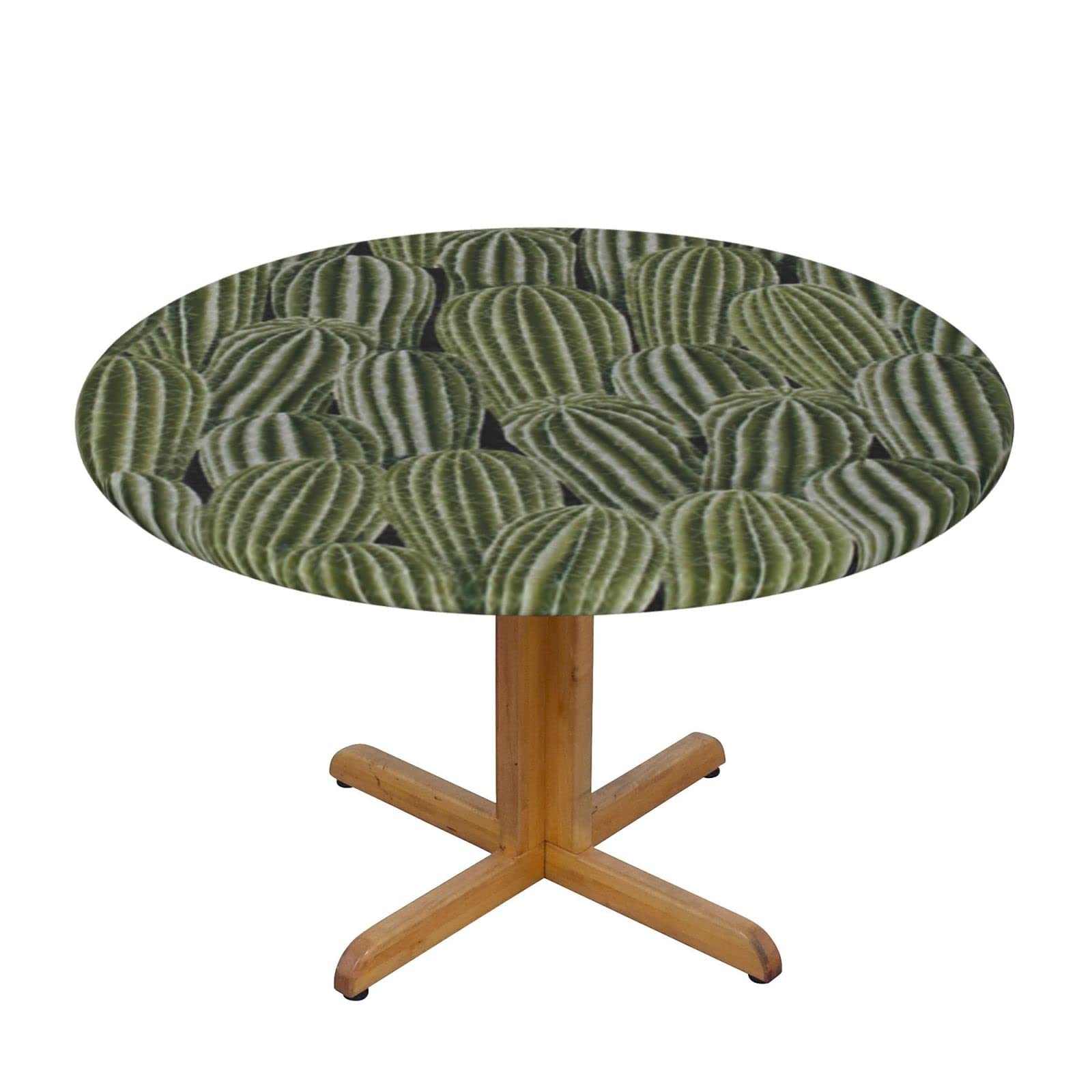 Lsjuee Round Fitted Tablecloth 40-44in Elastic Edged Table Cloth for Kitchen Dining Party Home Decor - Cactus Vintage Southwest Desert
