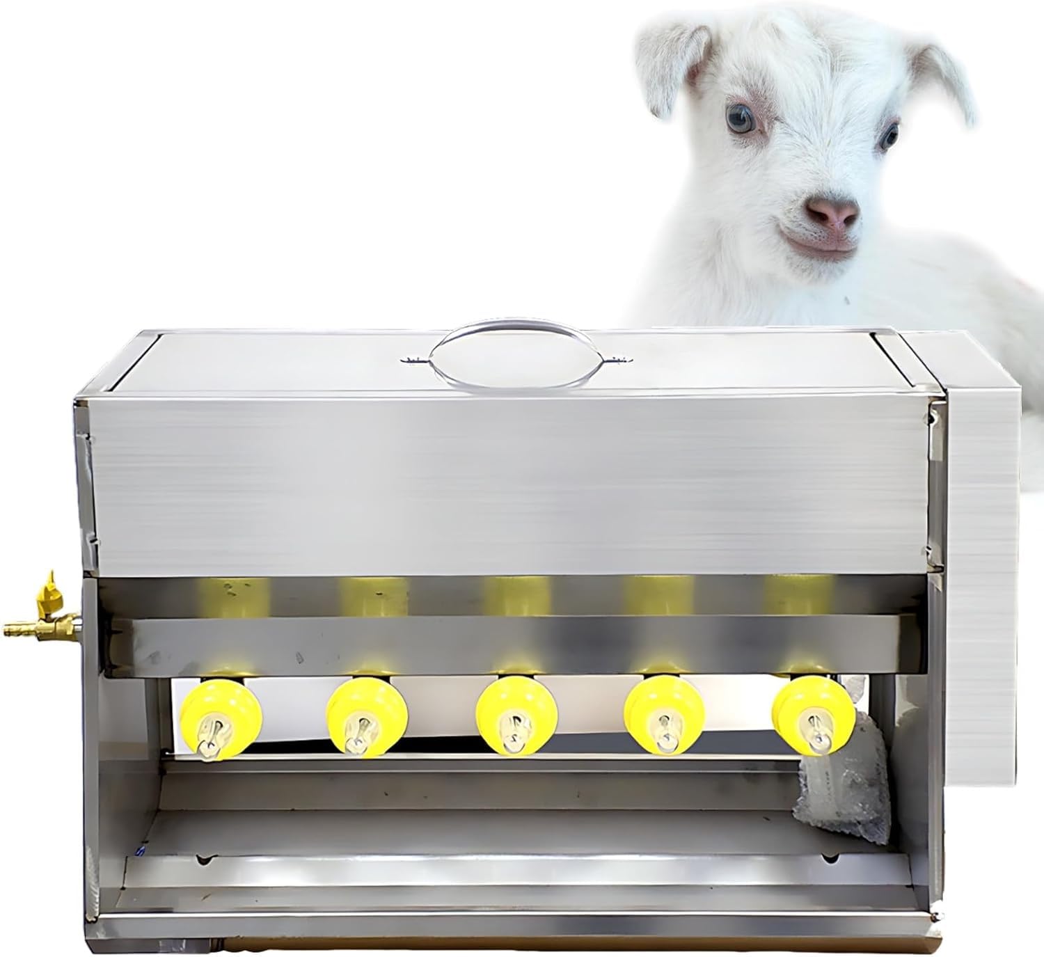 Comedero de acero inoxidable con pezón de silicona para alimentar lechones y corderos