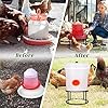 Amazon.com : 4Pcs Chicken Waterer Feeder Stand Metal Stand Rack with 4 ...