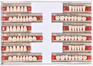 Angzhili 84 Pcs Dental Complete Acrylic Resin Denture False Teeth 3 Sets Synthetic Polymer Resin Denture Teeth 23 Shade A2 Upper + Lower Dental Materials