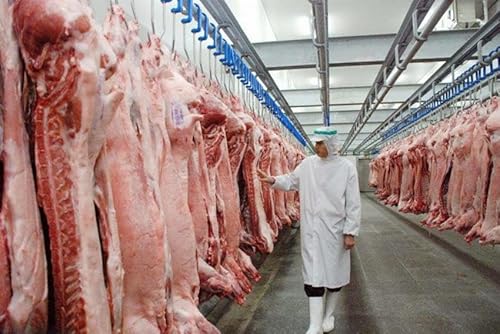 Thiết Kế Kho Lạnh Bảo Quản Xo&agrave;i