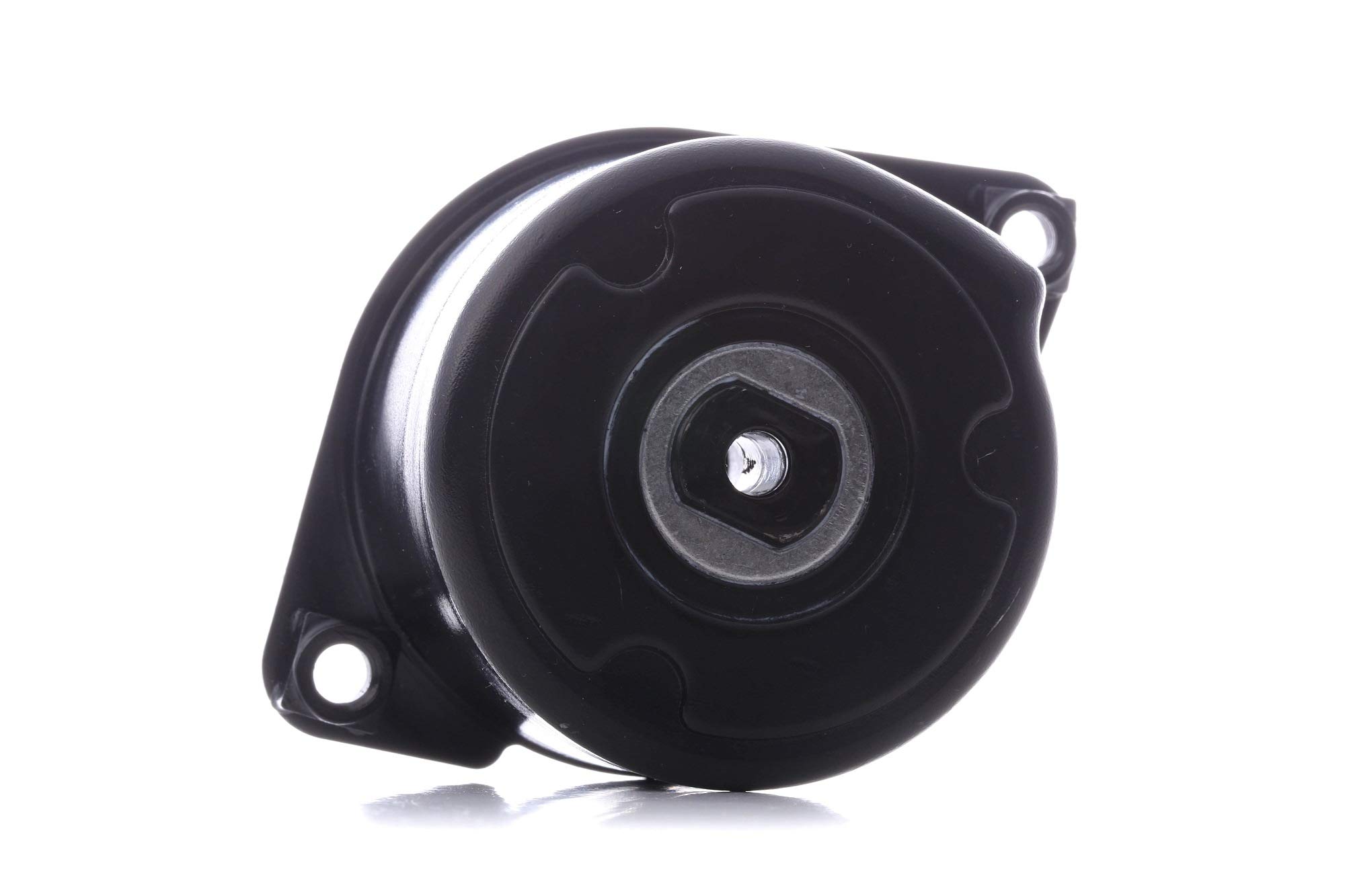 INA 534 0170 10 Braccio tenditore Cinghia Poly-V
