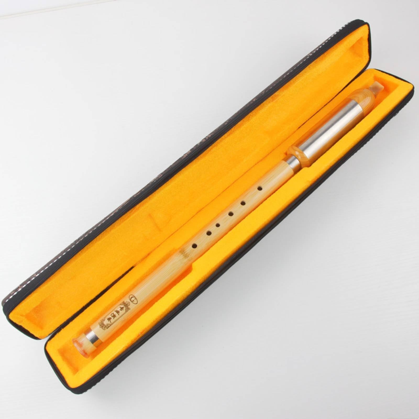 predolo Estuche con Cremallera Portátil Funda con Correa Semi-Rígido Bolsa para Viajes, Conciertos