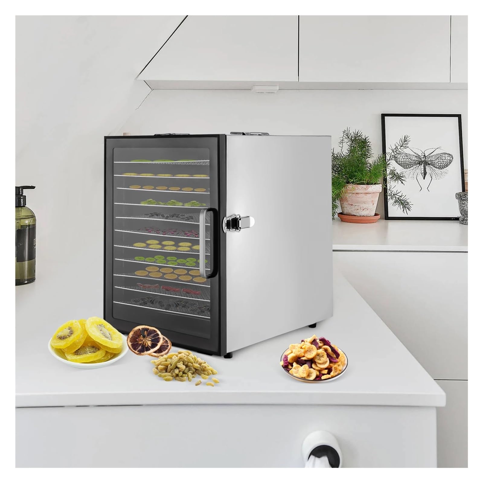 Déshydrateur Alimentaire 800W, Sèche-aliments Électrique