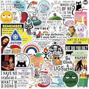 Paquete de 50 calcomanías divertidas y sarcasmo, impermeables, geniales para portátiles, cascos, álbumes de recortes (Snarky)