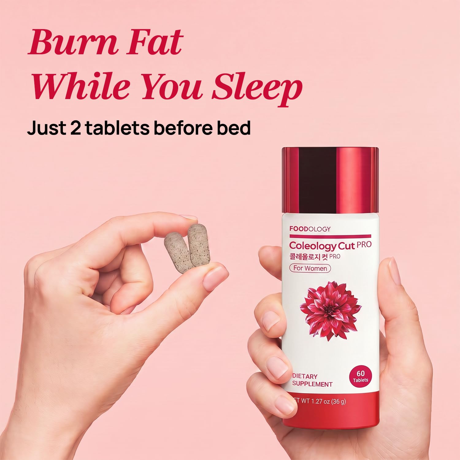 Amazon.com: FOODOLOGY Coleology Cut PRO, Nighttime Fat Metabolism