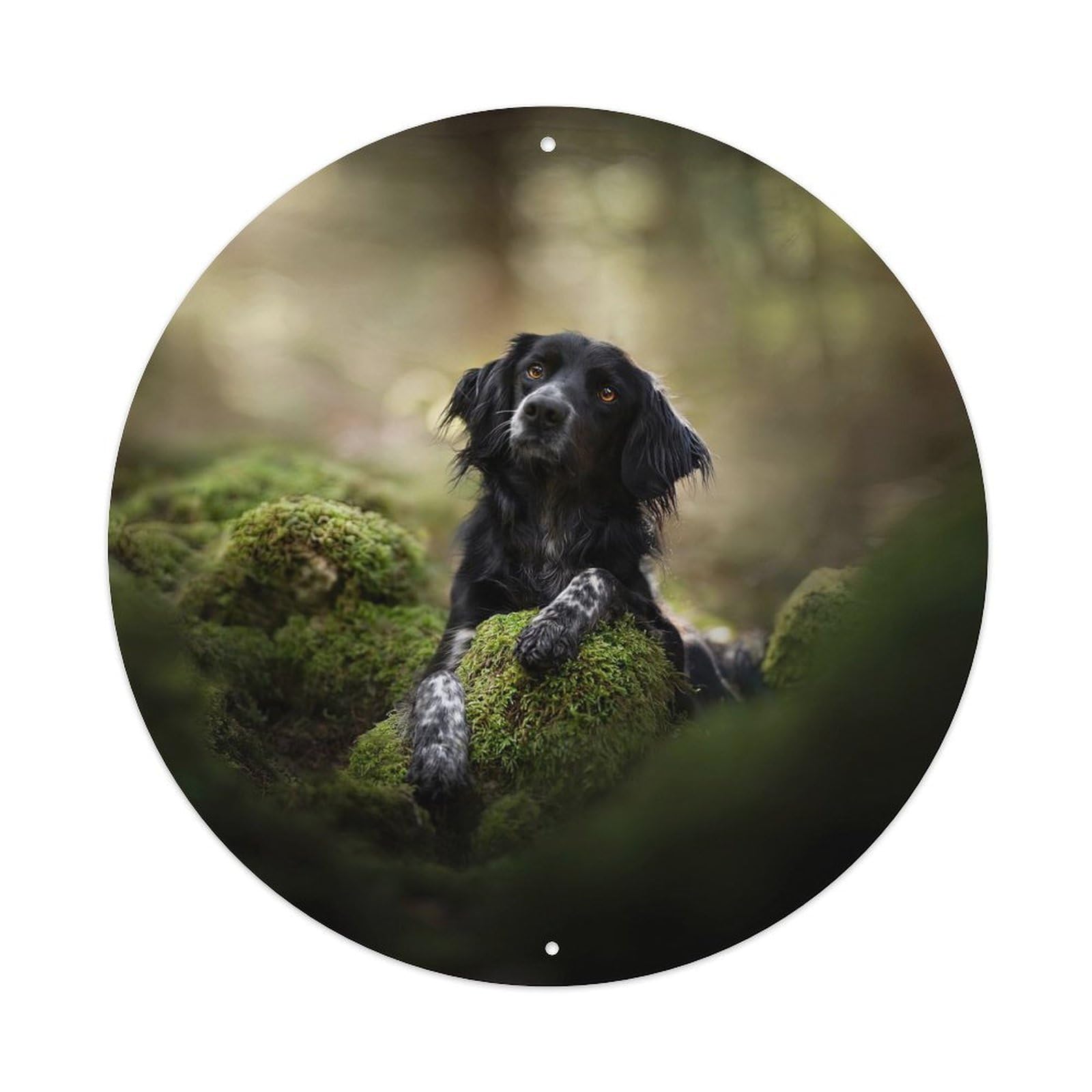 Cwbufd Vintage Style Animal Black White Dog In Tranquil Forest Mossy Rocks Serene Wildlife Vintage Metal Tin Sign Plaque Wall Decor For Cafe, Club Bar, Office, Garden Metal Poster 8X8inch