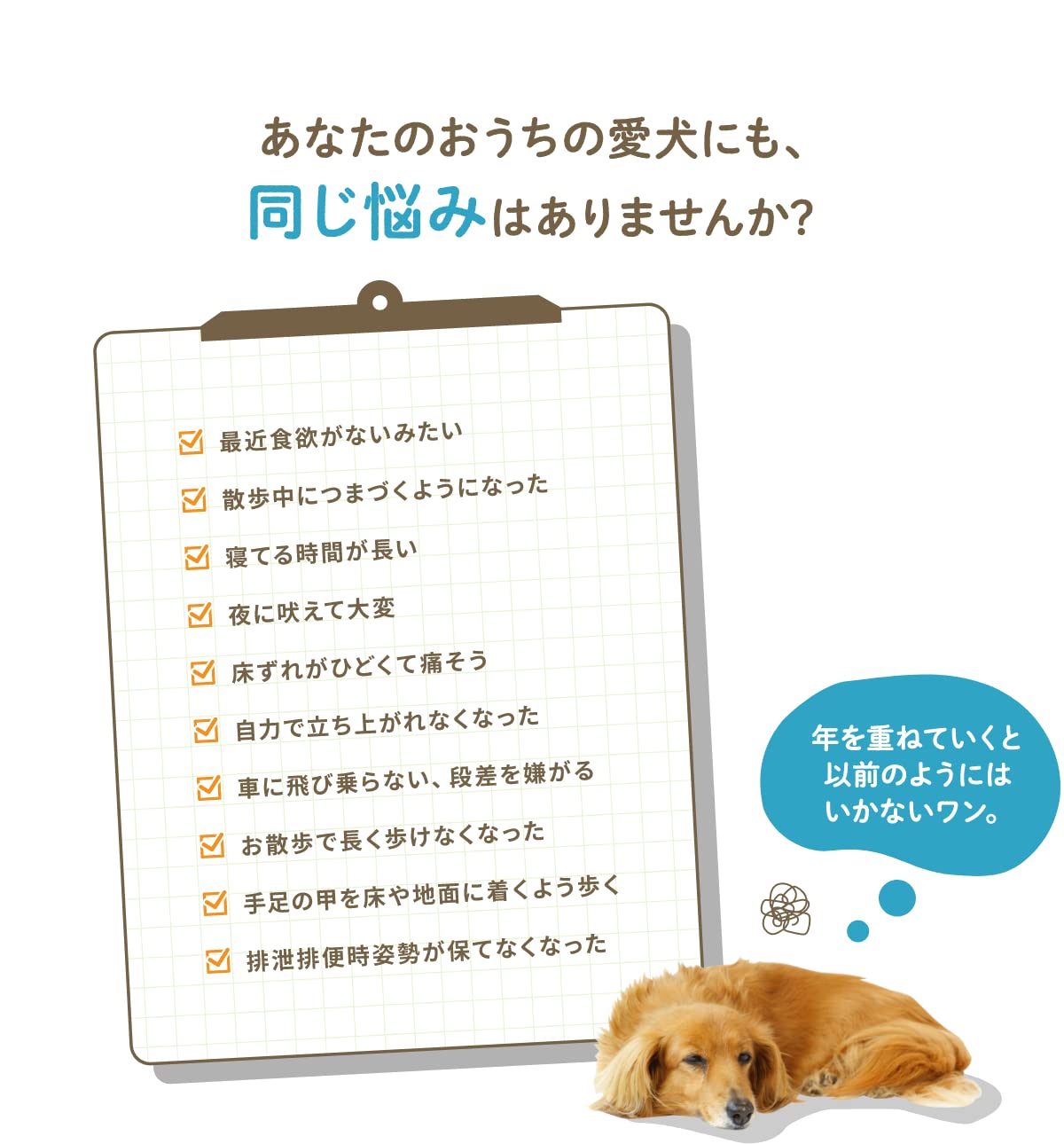 Amazon.co.jp: 犬潤 ペット用サプリメント 犬用 30g【猫ちゃん