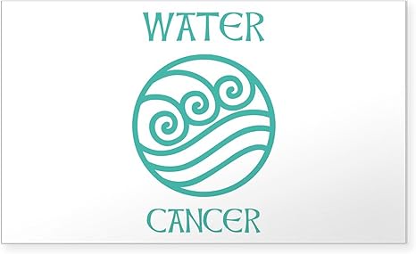 CafePress Water Sign Symbol Astrology Pisces Sticker Rectangle Bumper Sticker Car Decal
