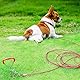 EFUTURETIME Anlegepflock für Hunde Groß mit Hundeleine 6m, Anlegespirale Hund Bodenanker Hering für Outdoor, Camping oder Hofleine, ideal für kleine bis große Hunde