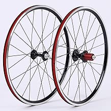 26 inch 10 speed rear wheel