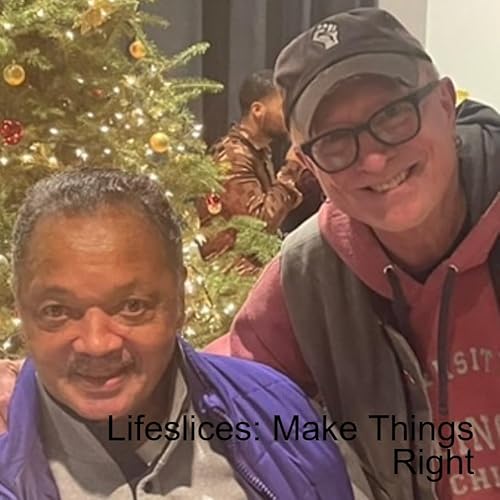 Lifeslices: Make Things Right