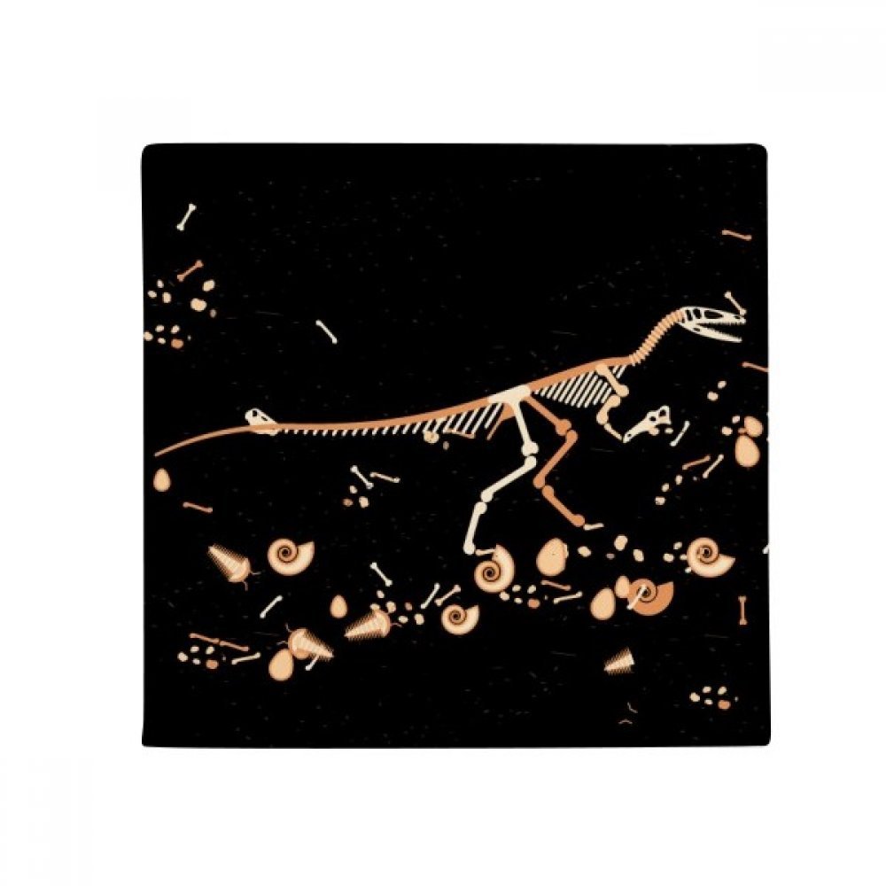 Tapis animaux Petit Dinosaure anti-dérapant multicouleur 60x60cm pour salon