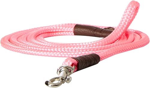 Miniatura 2 de Mendota Pet Show Snap Correa  Correa para perro  Fabricado en los Estados Unidos  Plata  18 pulgadas x 4 pies  para razas pequeñas