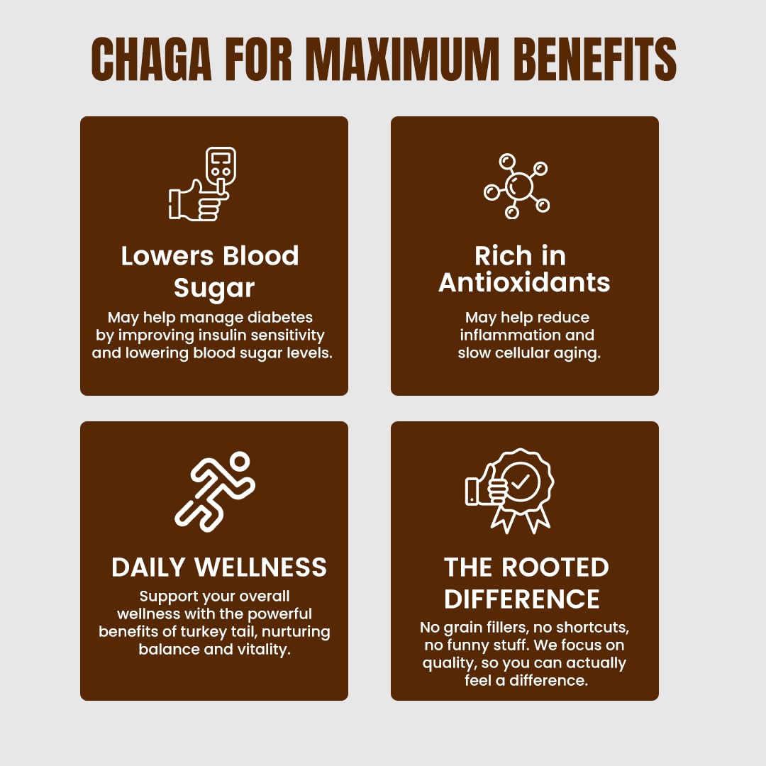 Rooted Active's Organic Chaga Capsules - Immune System Support Supplement, Antioxidant Activity Support, Regulate Body Functions, Immune Support vegan Extract, Dietary Mushroom Supplement (60 Caps) - Image 4 thumbnail