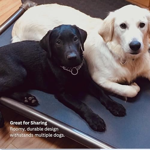 Miniatura 6 de Kuranda - Cama para perro, diseño a prueba de masticar, PVC nogal, para interior, elevada, PVC de alta resistencia, proporciona tracción,