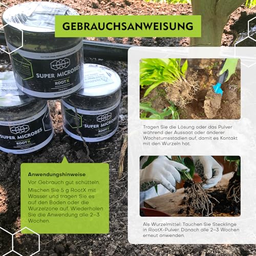 RootX - Premium Bewurzelungspulver für Stecklinge von Grünpflanzen | Speziell formuliert für blühende und knospende Pflanzen | Enthält Mykorrhizapilze, Trichoderma und andere nützliche Bakterien 150GR