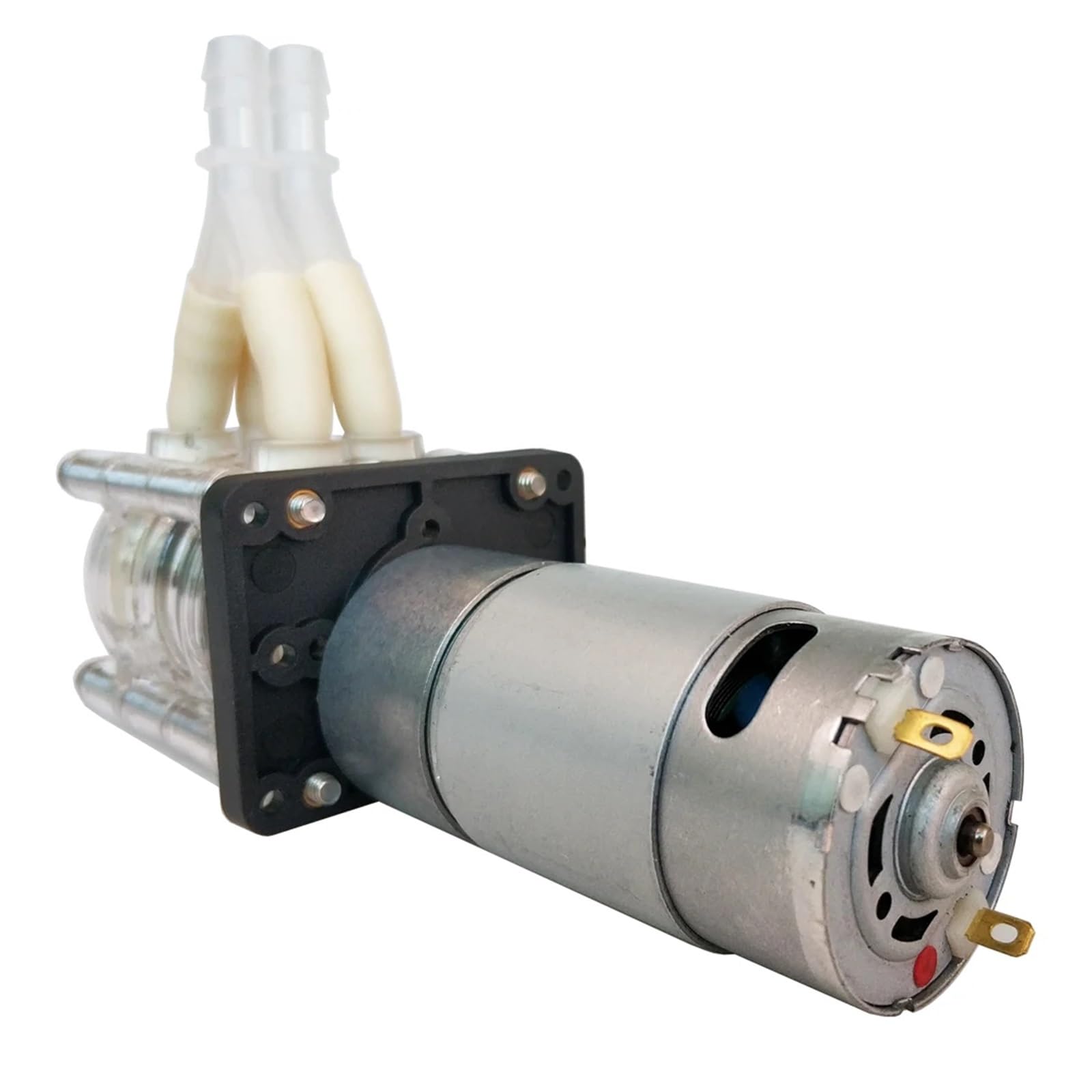 Lloopk Silicone Tube Peristaltic Pump, Peristaltic Pump, Water, Dosing, Dual Head, 12V 24V Dc, High Flowrate For Aquarium Lab Analytical(,Rated Voltage 24V)