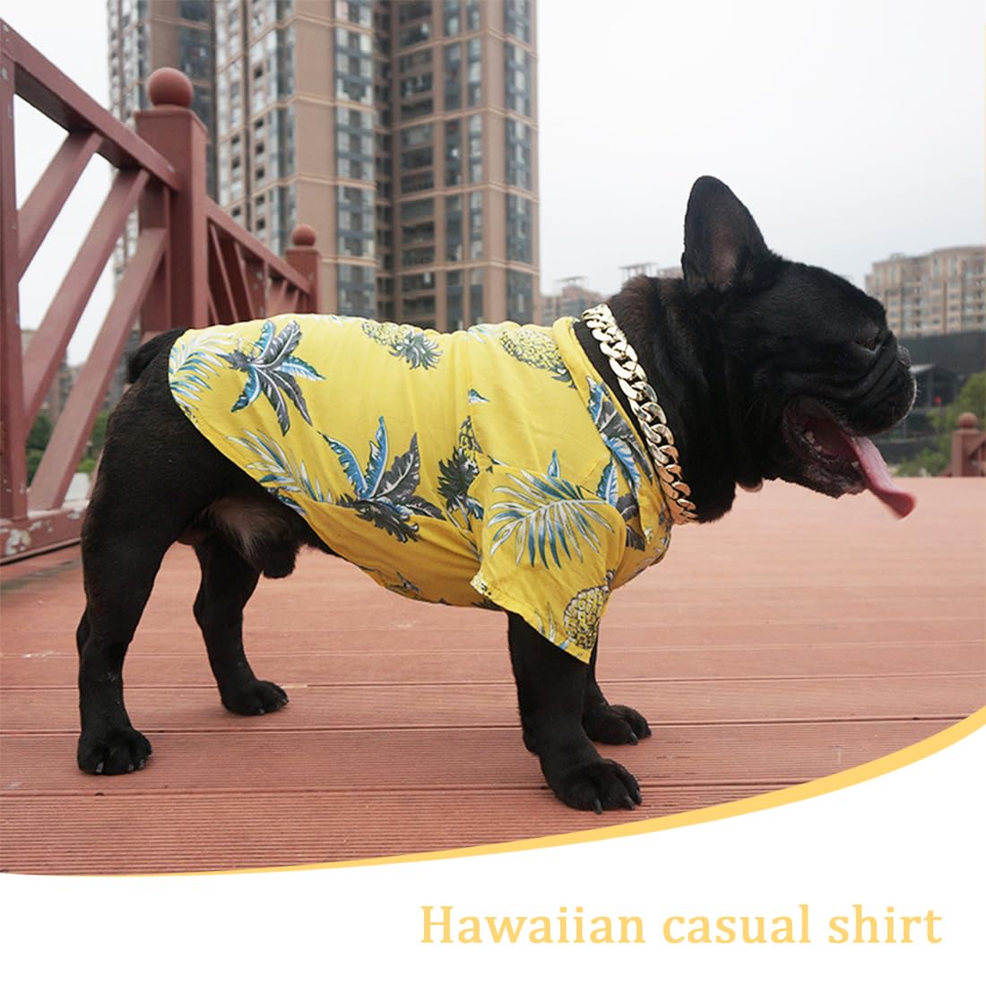 Maglietta Hawaii Per Cane Taglia S - Motivo Cocco E Spiaggia, In Cotone, Per Estate E Vacanze - Foto 13