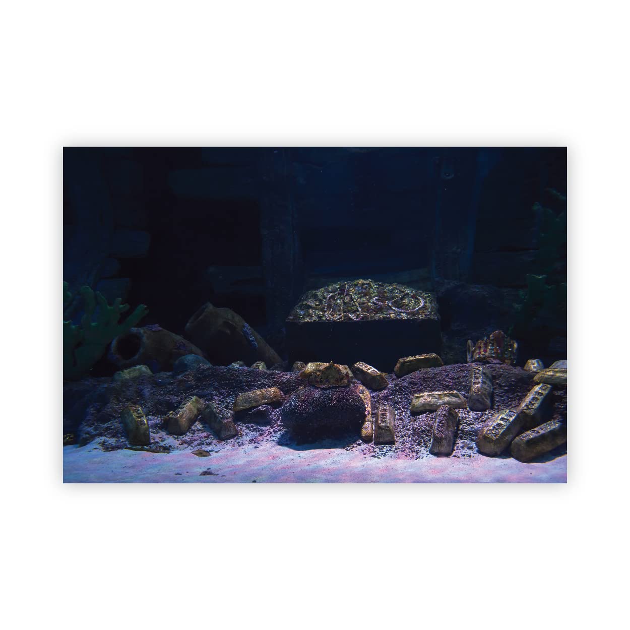 VVWV® Aquirium Background colourfull Stickers for Fish Tank Waterproof Vinyl Printed Sticker Multicolored (Treasure) (91 X 41 CMS) (B0BW4C9KPW) Amazon Price History, Amazon Price Tracker