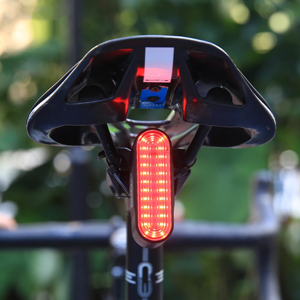 Feu arrière de vélo avec détection de freinage, 6 Modes d'éclairage, éclairage Intelligent, étanche IP66, Batterie 800 mAh Rechargeable par USB-C, Longue autonomie