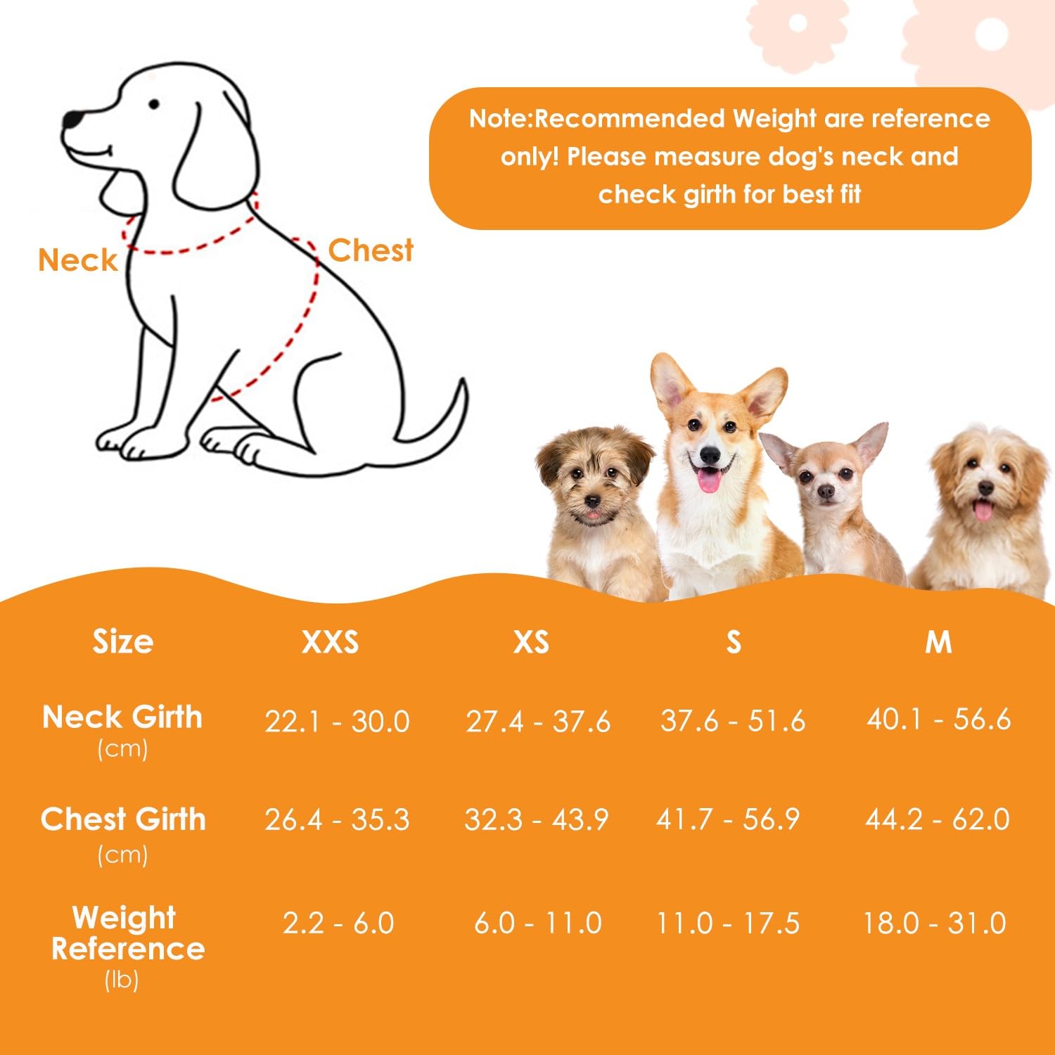 SlowTon Harnais pour Chien sans Traction avec Laisse - Harnais pour Chiot léger et Doux à Enfiler, Harnais réglable pour Petits et Moyens Chiens