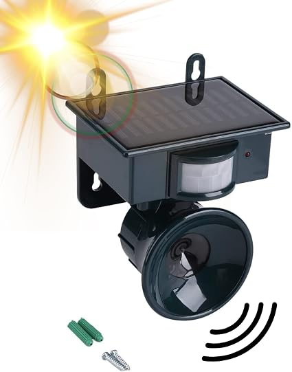 Amazon Product