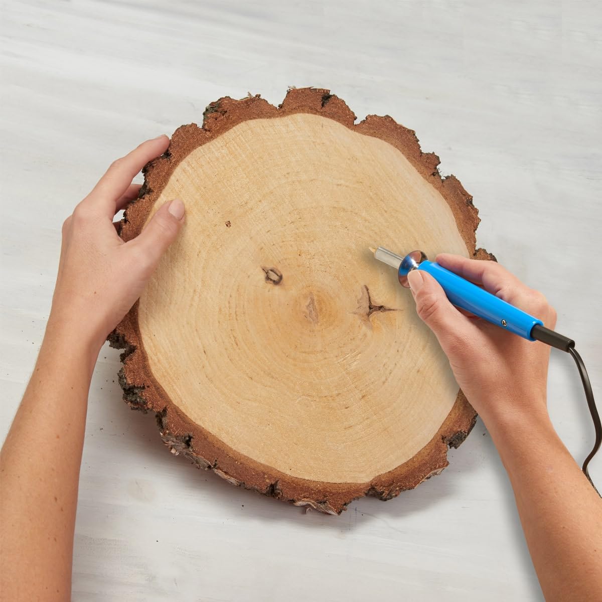 Große Holzscheiben zum Basteln oder Dekorieren - 10 Stück naturbelassene Baumscheiben ca. 35 cm (33 - 37 cm) Durchmesser aus Birkenholz - runde Holz Birkenscheiben als Holzdeko Holzplatten