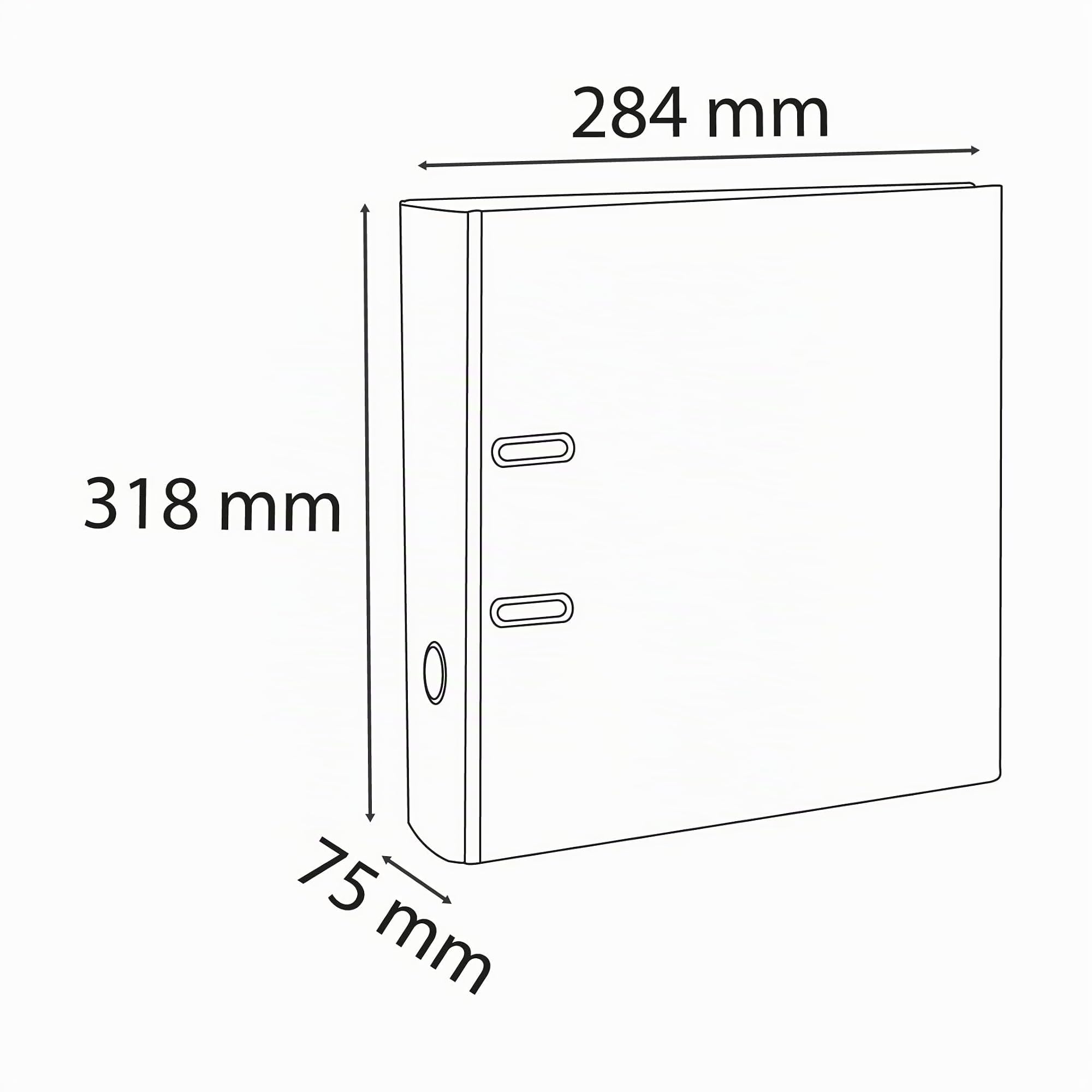 Exacompta - Réf. 918416B - Carton de 20 classeurs à levier A4 - Dos 80 mm - Mécanique 80 mm - Dimensions extérieures : 32 x 29 x 8 cm - Format à classer A4 - Coloris : Gris