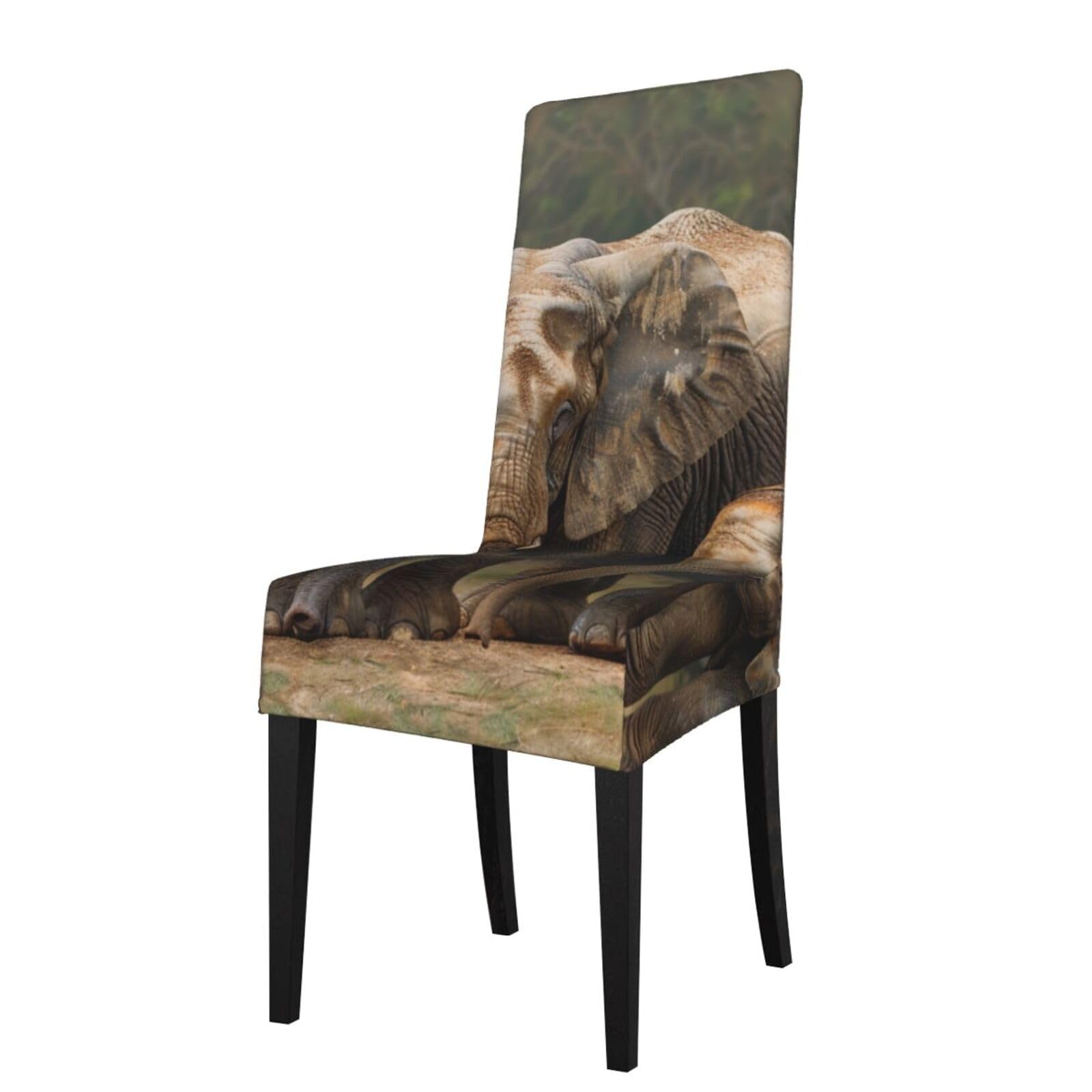 WPKJU Elephant Family Print Dining Chair Covers Removable Chair Seat Covers Decorative for Kitchen & Bar Stools