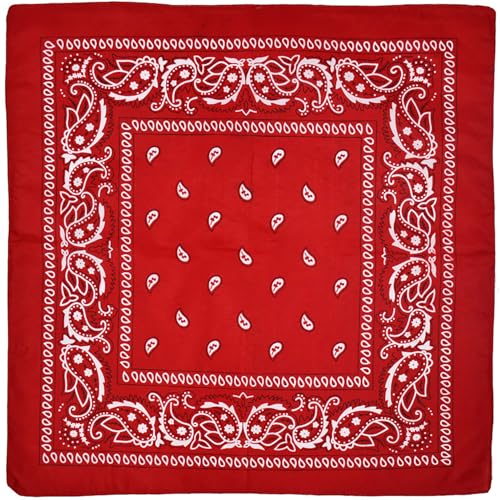 vaolmlop El Bandana, Estampado Paisley, Pañuelos Unisex, 54 *