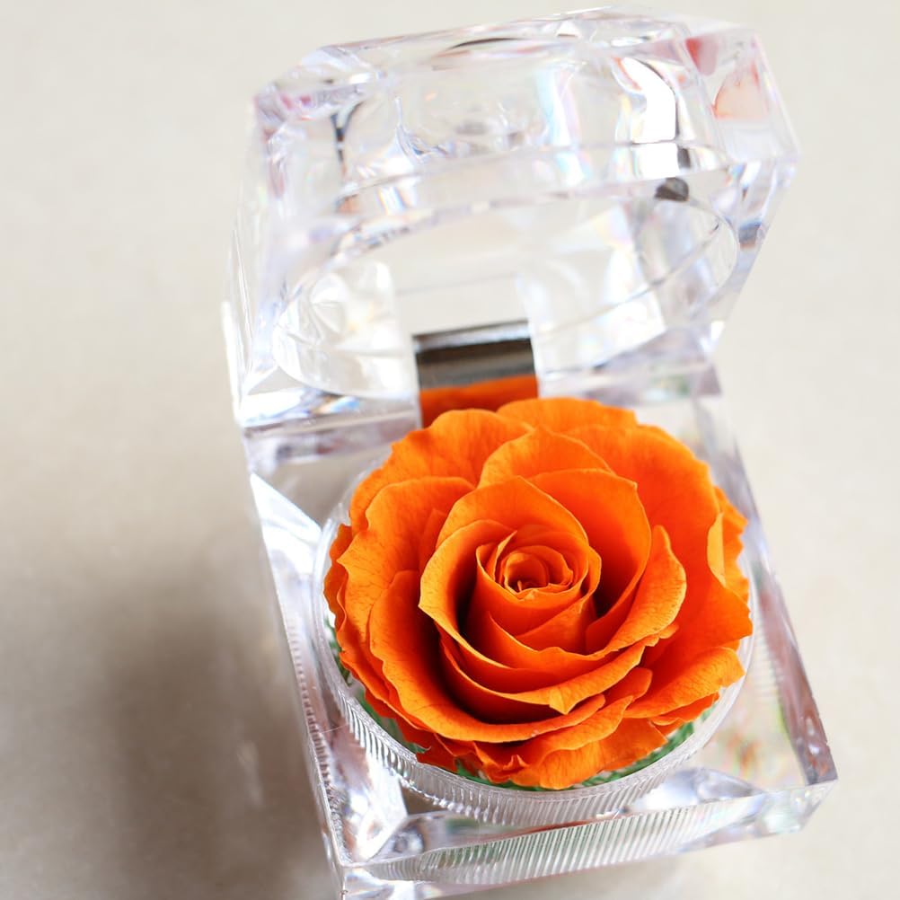 BESTonZON 1Pcs Preserved Eternity Rose Never Withered Rose for Valentines Day Birthday and Anniversary with Drawer Box (Orange)