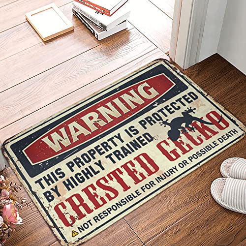 Tapis gecko à crête d'extérieur lavable pour entrée propre - 2