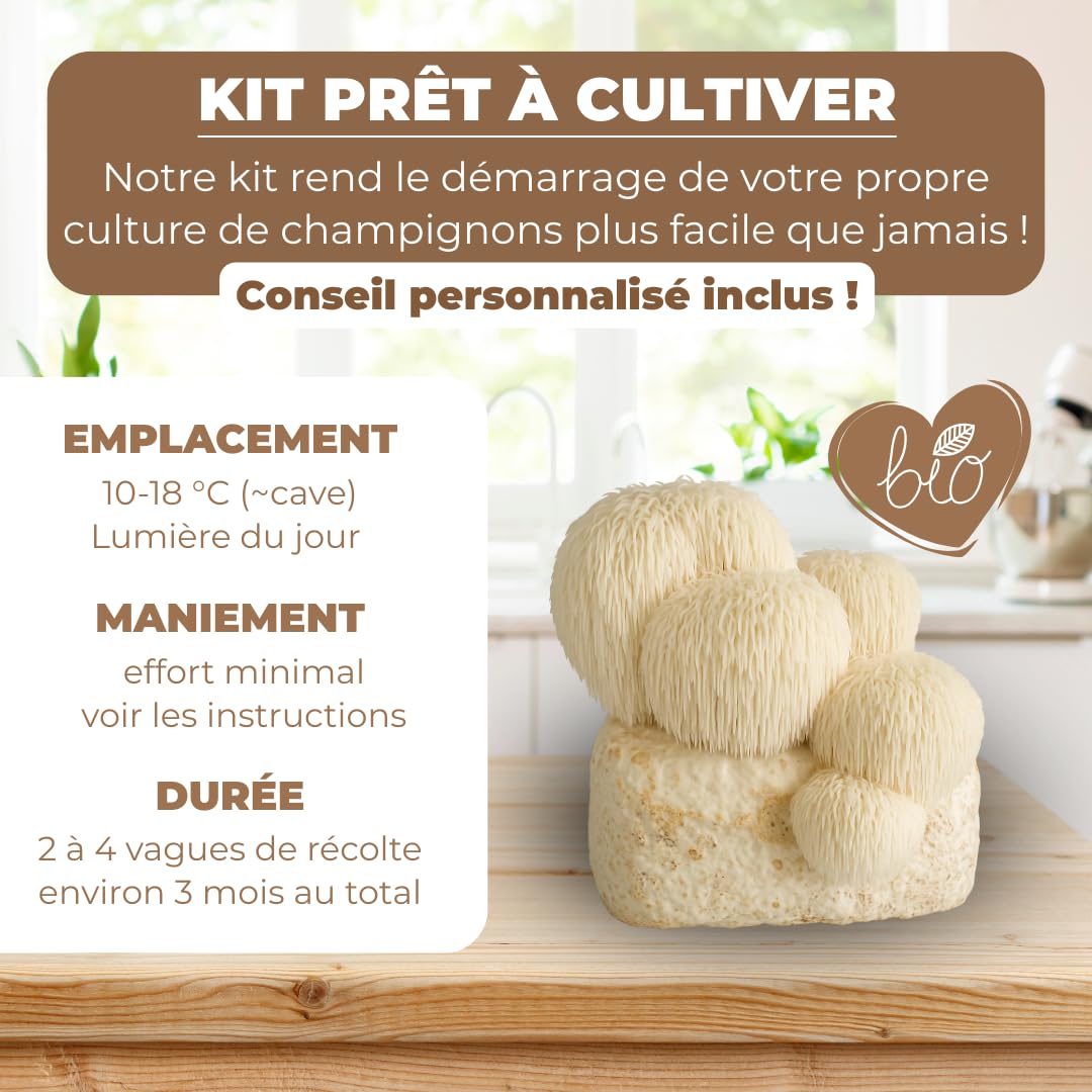 Hawlik Kit de culture de champignons Lions Mane Hericium erinaceus