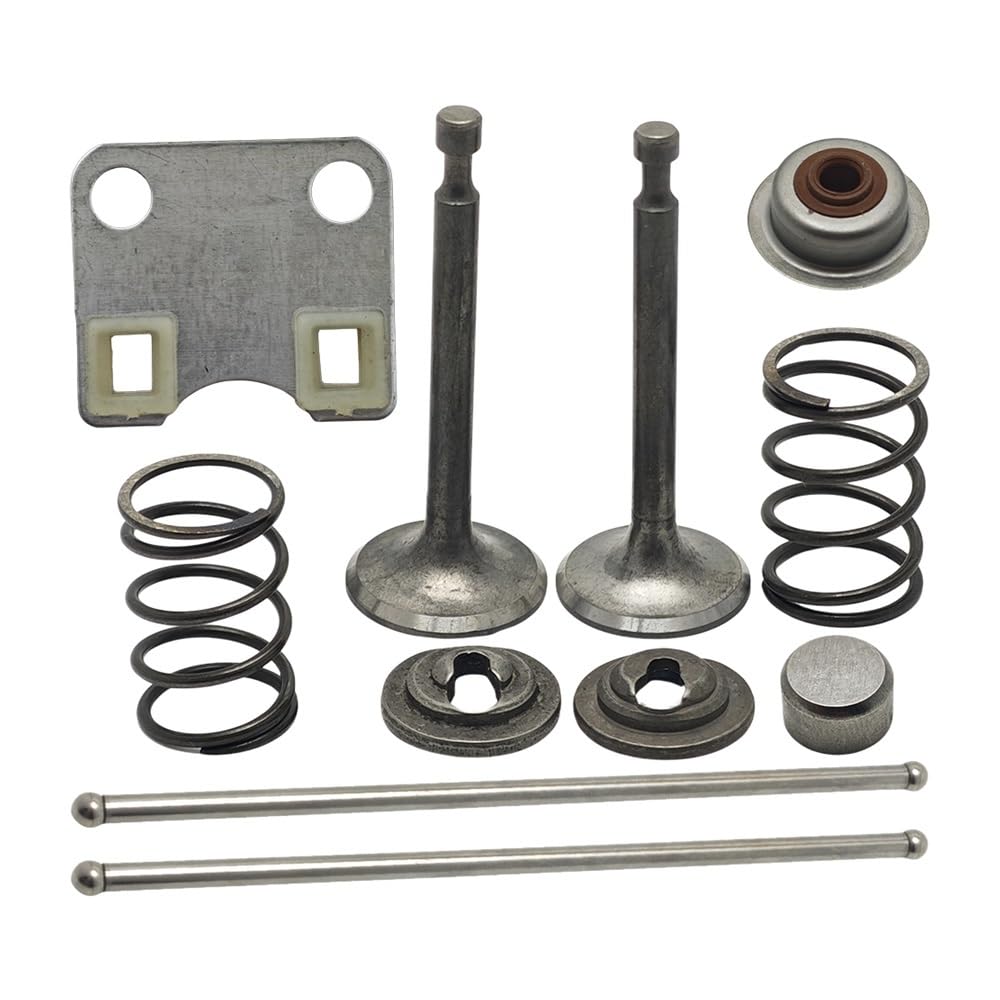 Plaque de guidage pour moteur GX200 pour réparer une tondeuse en panne