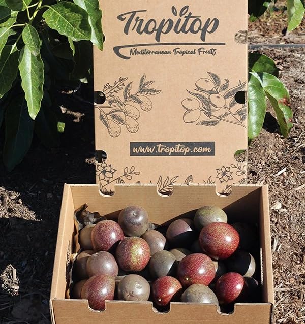 Fruta de la Pasión o Maracuyás, caja de 2kg, Fruta fresca entera, producción local y sostenible en Castellón (España),Del agricultor a casa, comprar maracuyá fresca, recolección bajo pedido