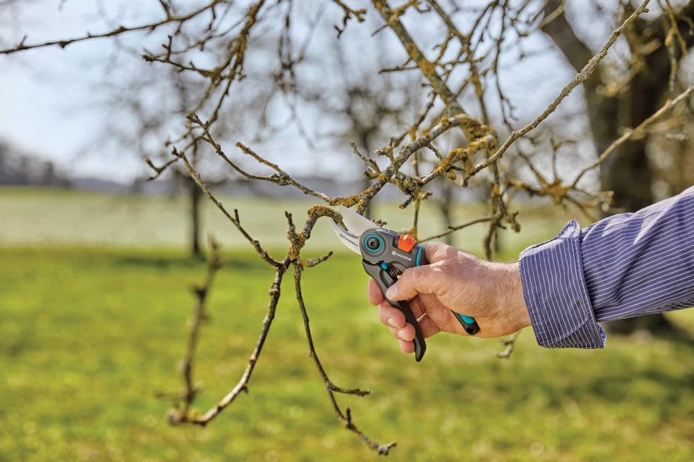 Gardena ExpertCut Secateurs Grey 26x10.5x3